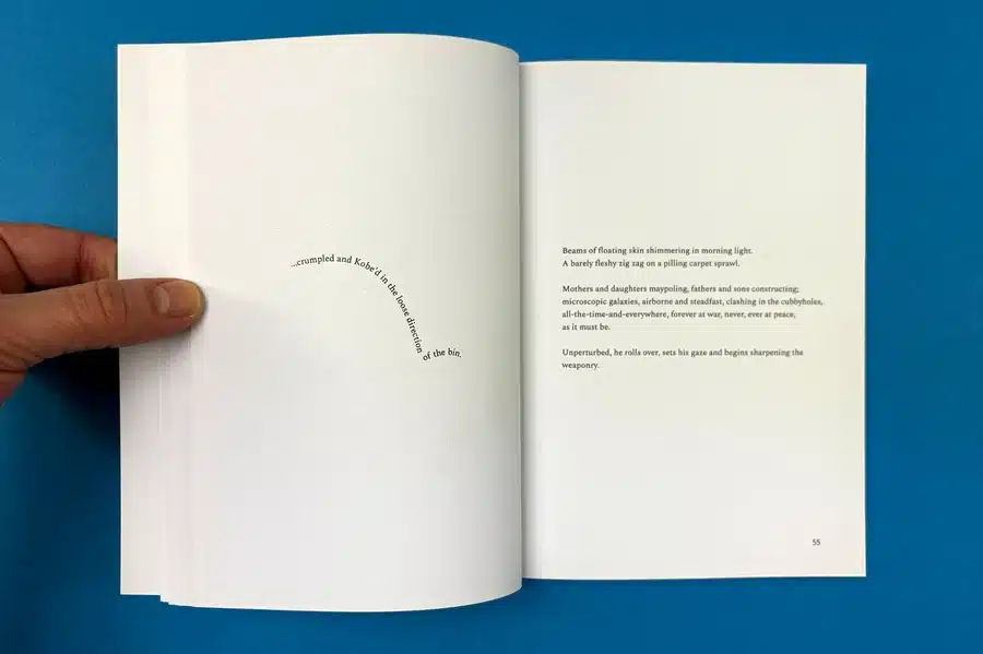 zines - Ex Why Zed